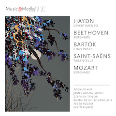 Haydn Connections, vol.2
