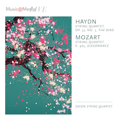 Haydn Connections, vol.5
