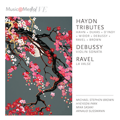 Haydn Connections, vol.6