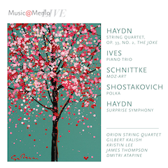 Haydn Connections, vol.7