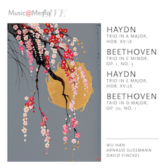 Haydn Connections, vol.8