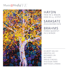 Haydn Connections, vol.9