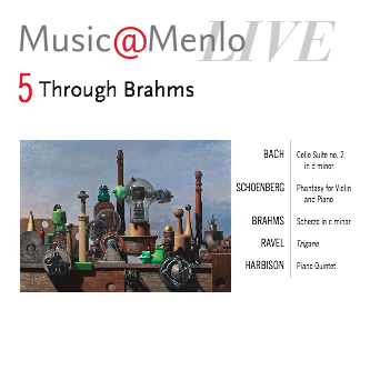 <em>Through Brahms:</em> Disc 5