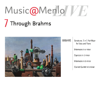 <em>Through Brahms:</em> Disc 7