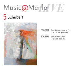 <em>Schubert</em> Disc 5