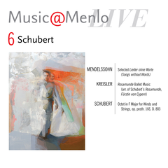 <em>Schubert</em> Disc 6